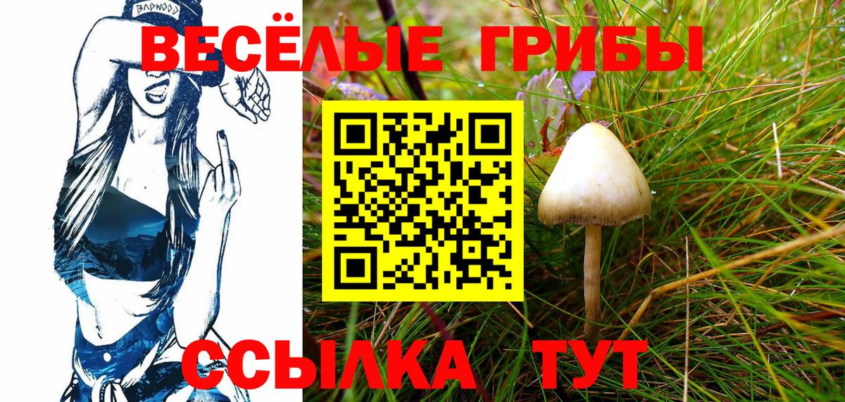 Грязи  Псилоцибиновые грибы GOLDEN TEACHER  Вход с VPN 