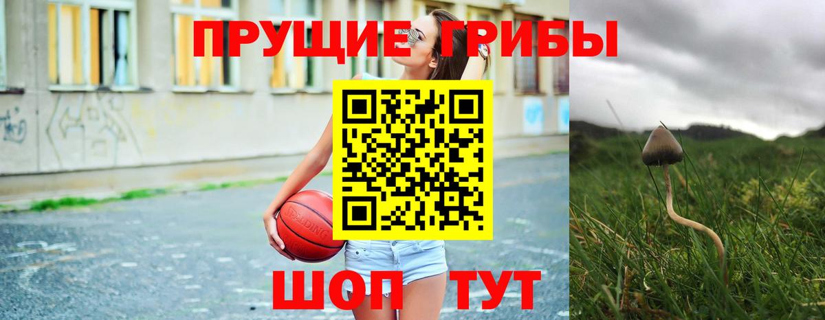 Псилоцибиновые грибы ЛСД Грязи
